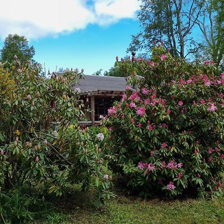 La Casa Del Arbol Villarrica Cabanas-Piscina-Tinajas מראה חיצוני תמונה