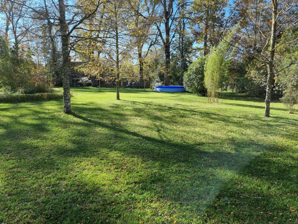 La Casa Del Arbol Villarrica Cabanas-Piscina-Tinajas מראה חיצוני תמונה