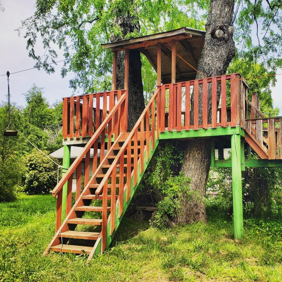 La Casa Del Arbol Villarrica Cabanas-Piscina-Tinajas מראה חיצוני תמונה