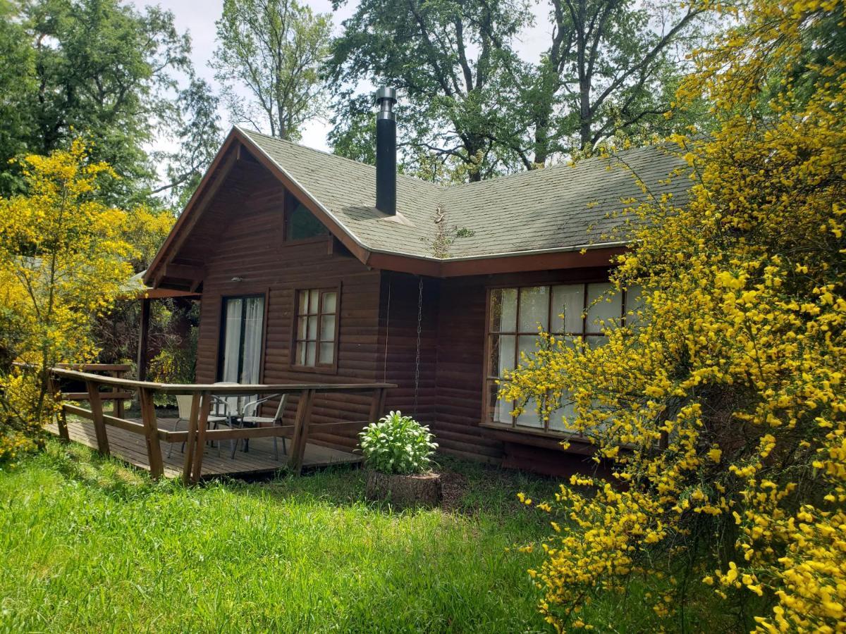 La Casa Del Arbol Villarrica Cabanas-Piscina-Tinajas מראה חיצוני תמונה