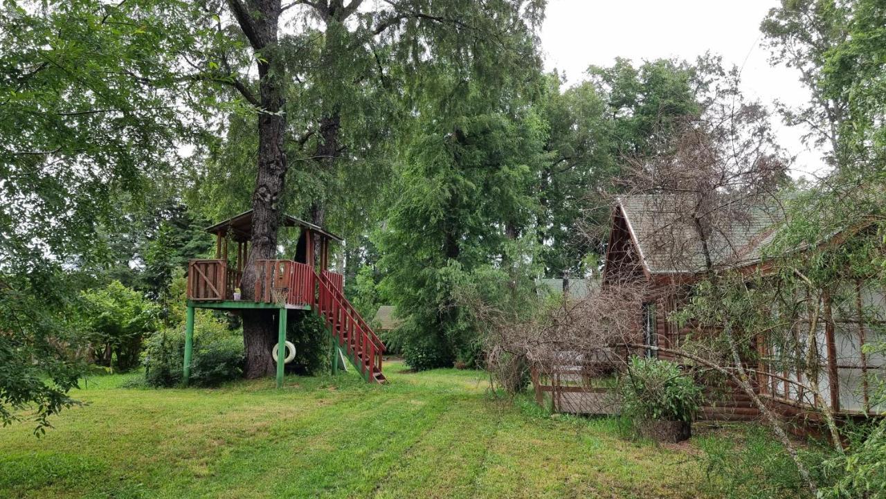 La Casa Del Arbol Villarrica Cabanas-Piscina-Tinajas מראה חיצוני תמונה