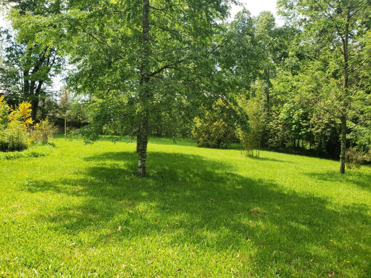 La Casa Del Arbol Villarrica Cabanas-Piscina-Tinajas מראה חיצוני תמונה