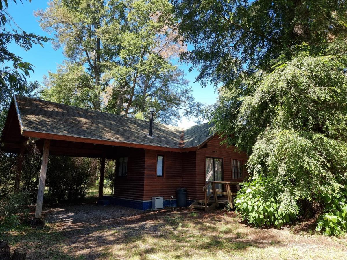 La Casa Del Arbol Villarrica Cabanas-Piscina-Tinajas מראה חיצוני תמונה