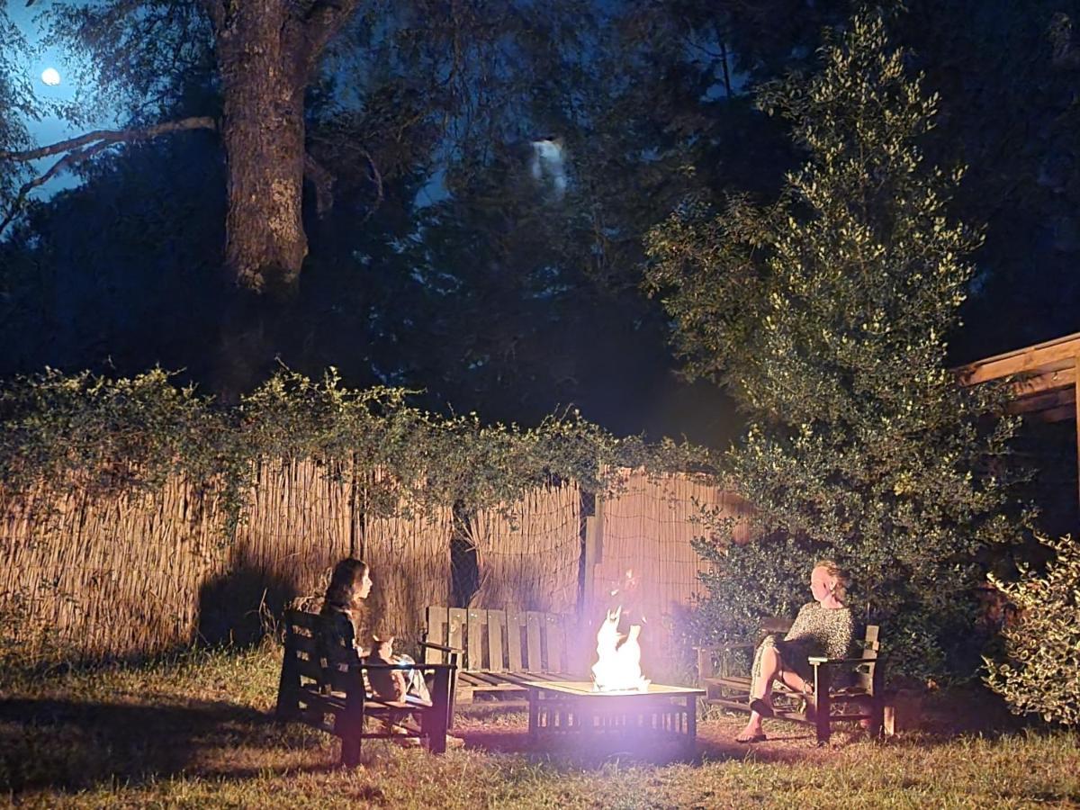 La Casa Del Arbol Villarrica Cabanas-Piscina-Tinajas מראה חיצוני תמונה