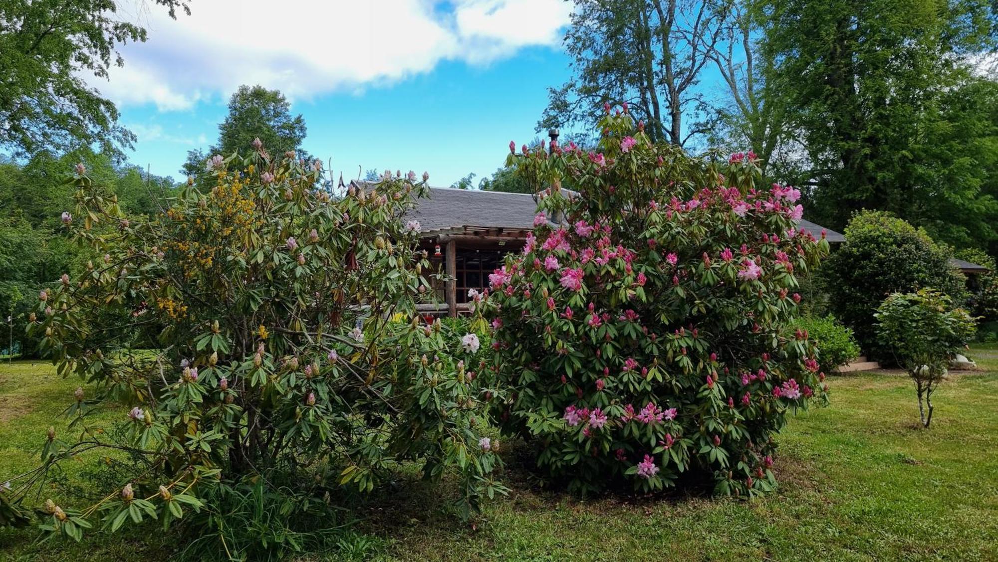 La Casa Del Arbol Villarrica Cabanas-Piscina-Tinajas מראה חיצוני תמונה